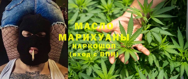 твердый Михайлов