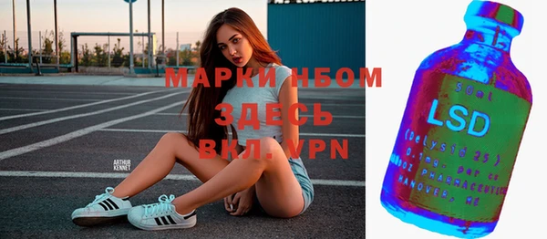 хмурый Михайловск