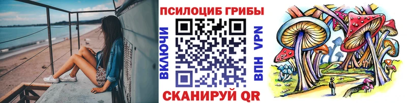 Галлюциногенные грибы мухоморы  где продают   Бологое 